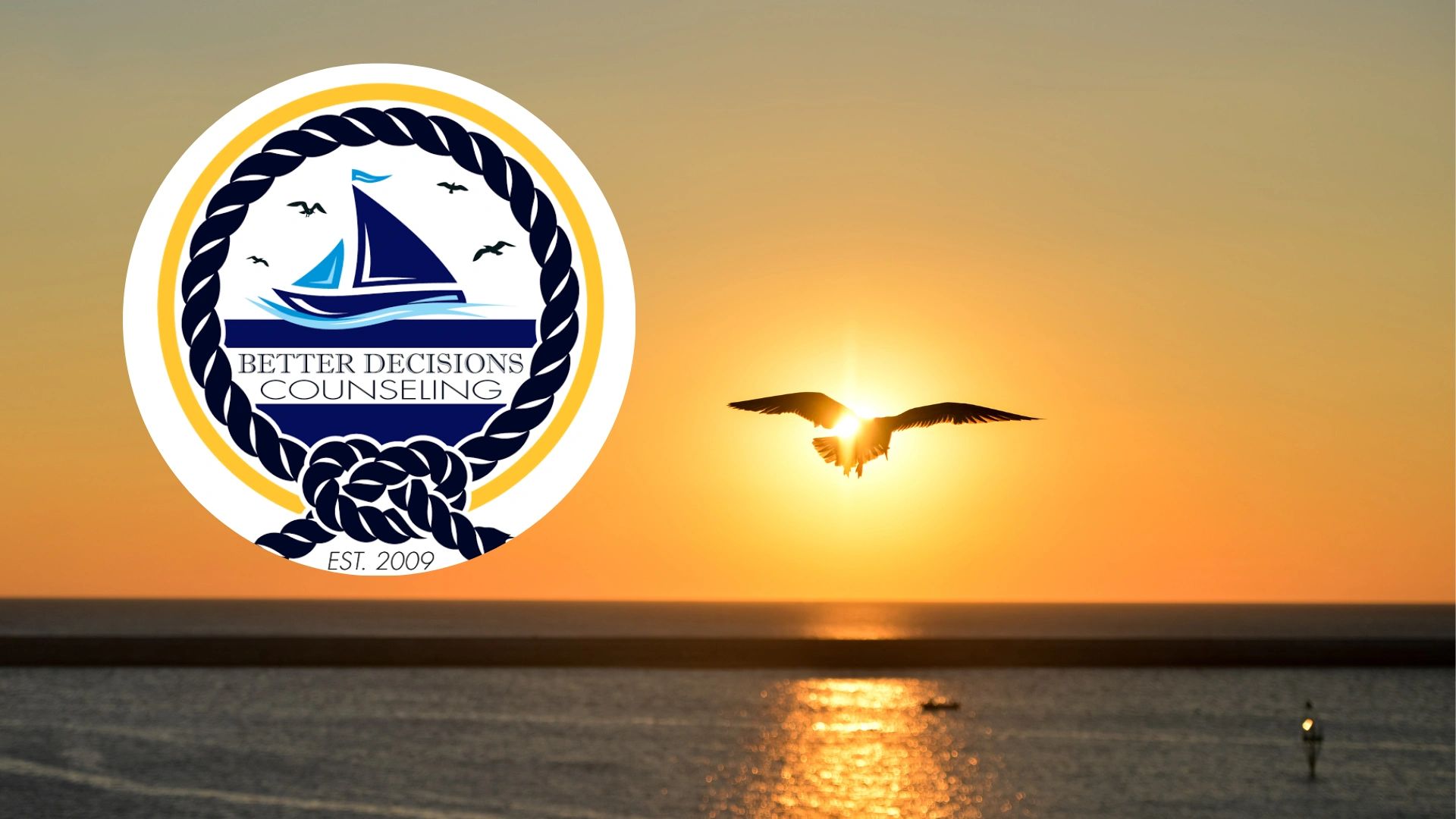 Court Ordered Services Co Parenting Supervised Visits Mental Health